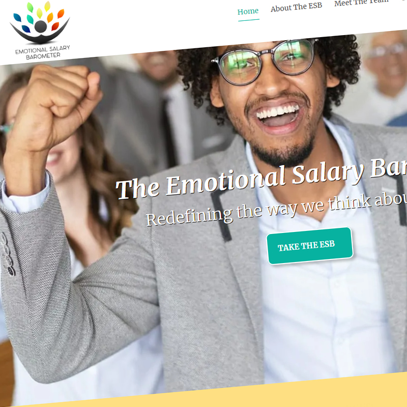 emotional-salary-barometer-website